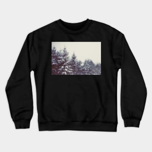 Winter Daydream #2 Crewneck Sweatshirt